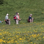 Wandern 2024